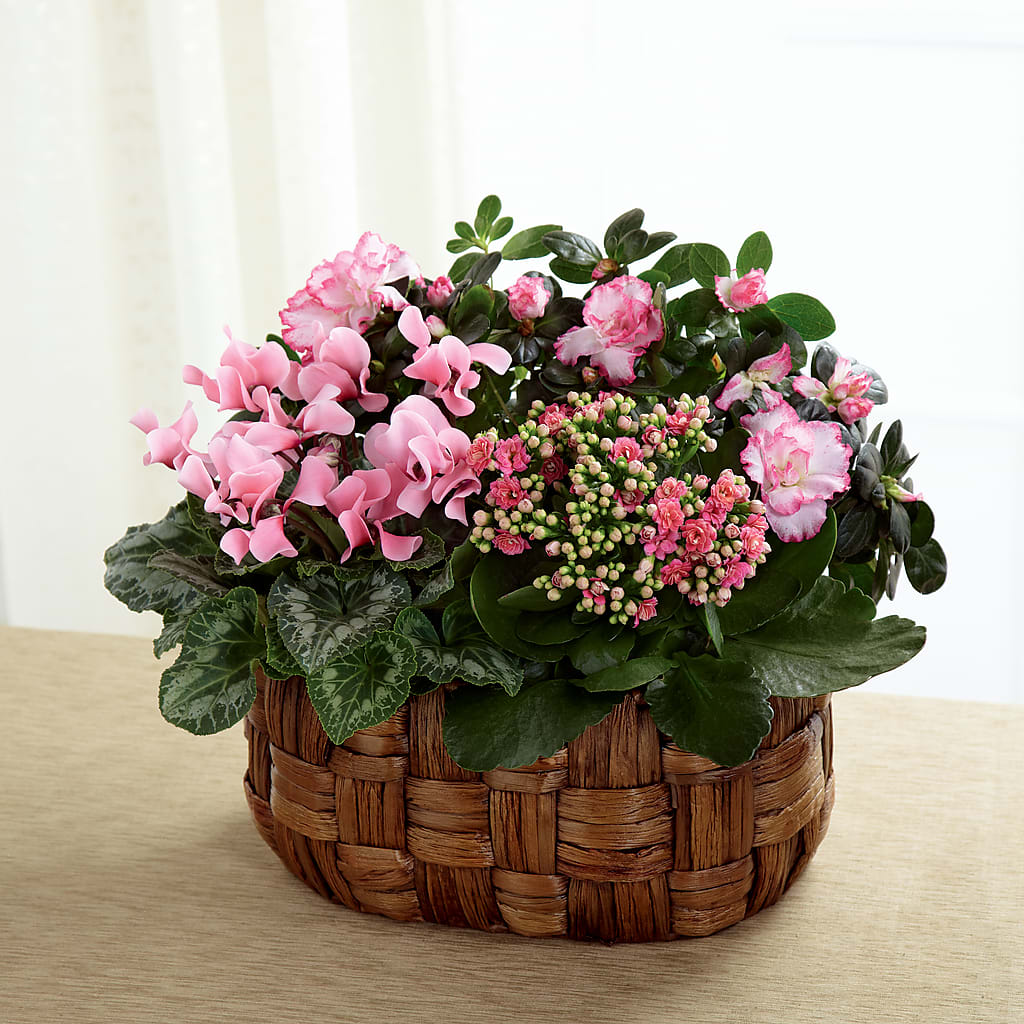 Pink Assortment – Flowers Within Hours, Palos Heights IL