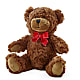 Adorable Plush Bear –  Flowers Within Hours, Palos Heights IL