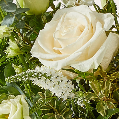 Cashmere Bouquet –  Flowers Within Hours, Palos Heights IL