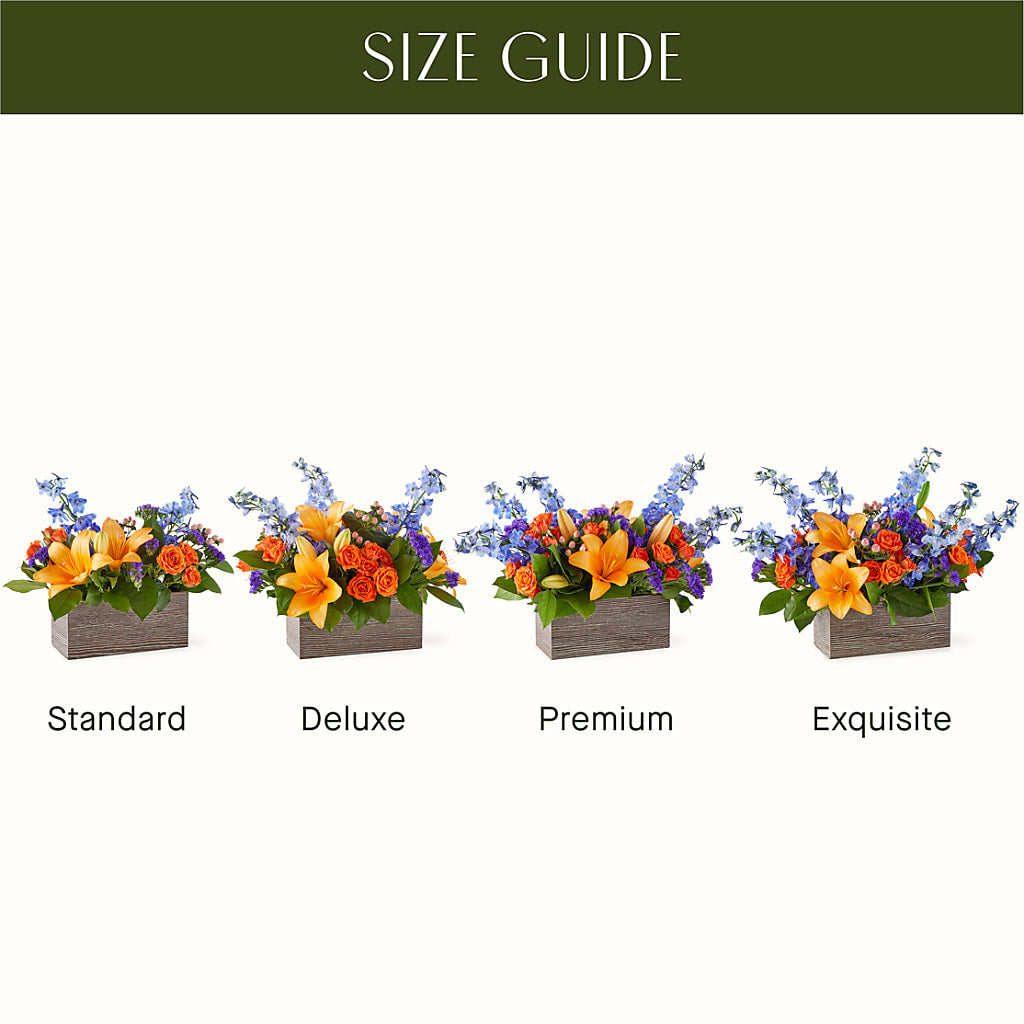 Radiant Citrus Box Bouquet –  Flowers Within Hours, Palos Heights IL