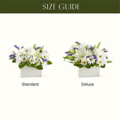 Beyond Blue Box Bouquet –  Flowers Within Hours, Palos Heights IL
