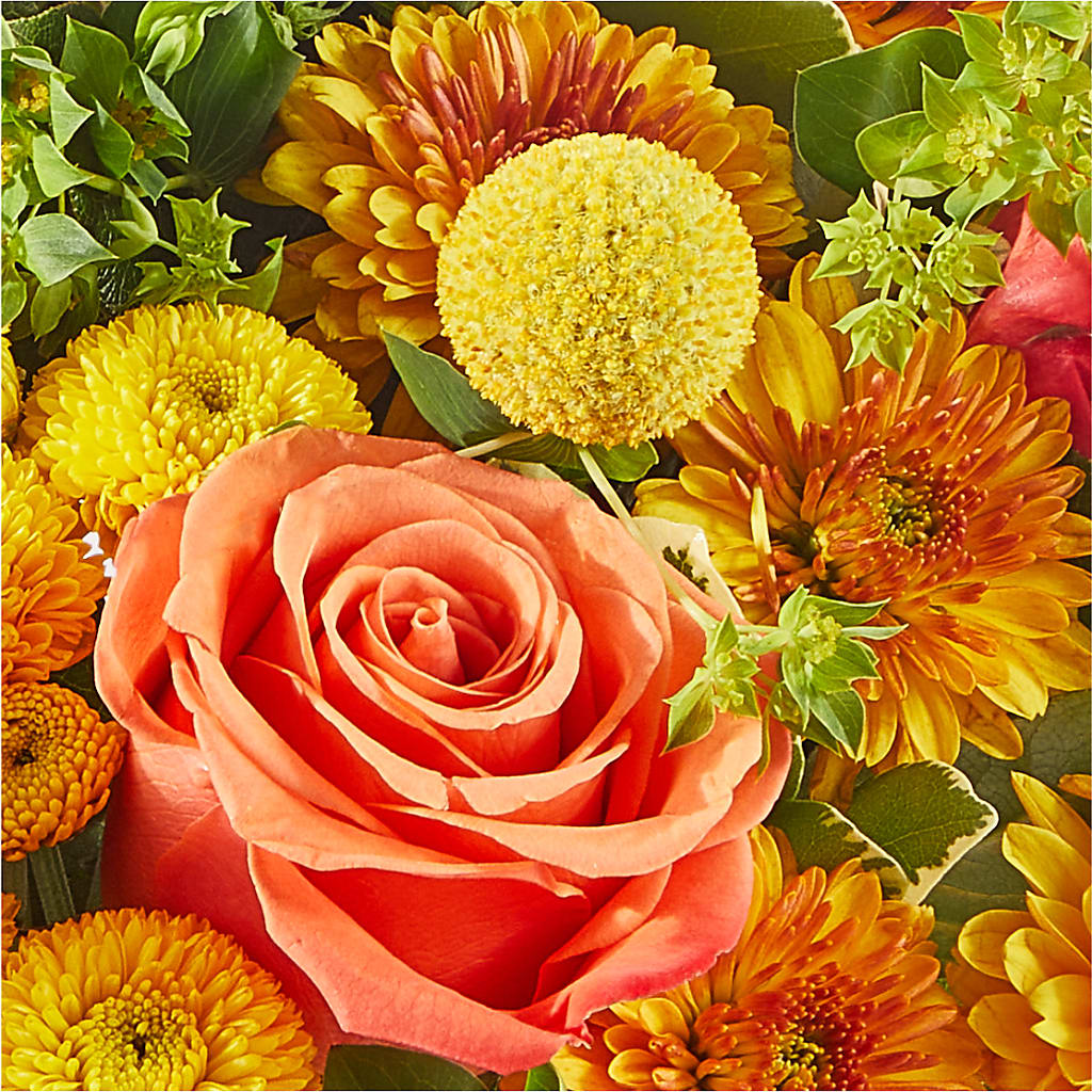 Gourdgeous Pumpkin –  Flowers Within Hours, Palos Heights IL