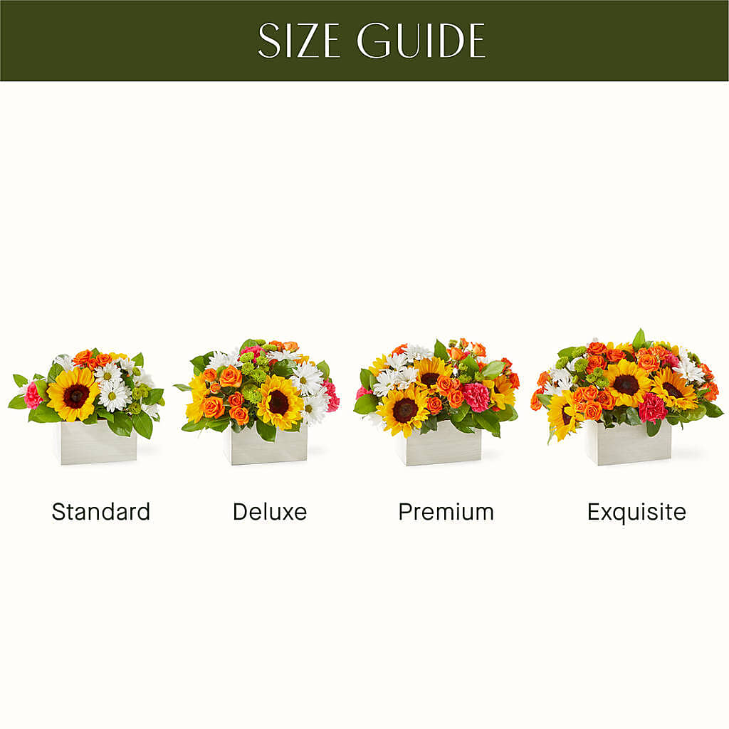 Sun-drenched Blooms Box Bouquet –  Flowers Within Hours, Palos Heights IL