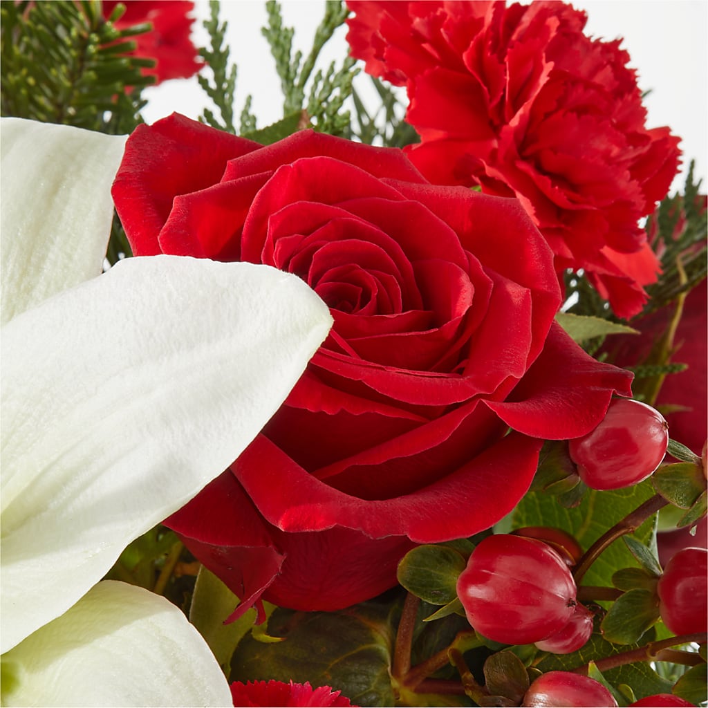 Oh So Jolly Bouquet –  Flowers Within Hours, Palos Heights IL